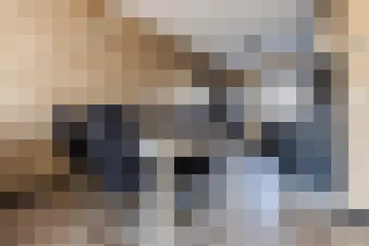 Karmijn 70 Winssen thumbnail 10
