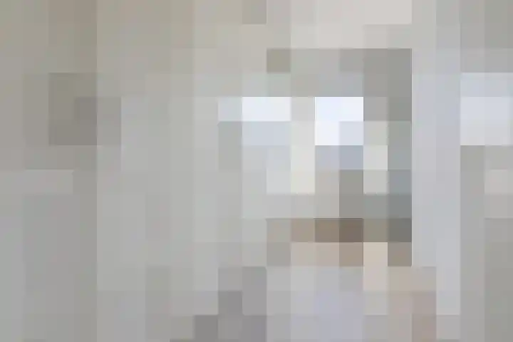 Karmijn 70 Winssen thumbnail 13
