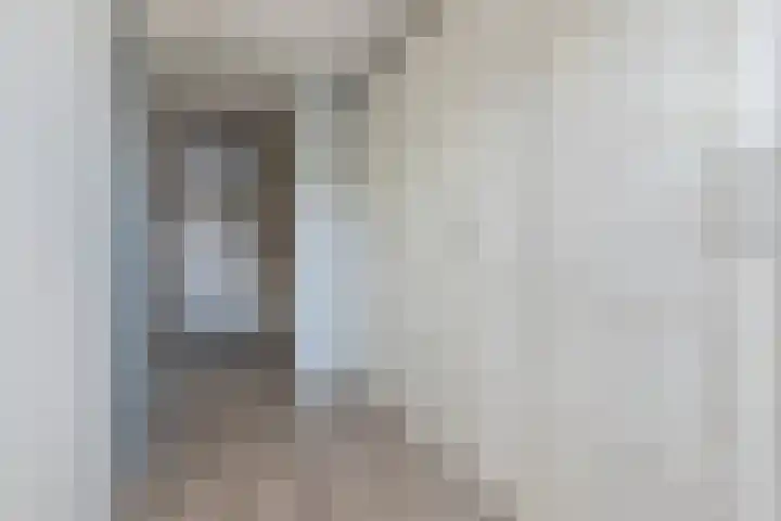 Karmijn 70 Winssen thumbnail 14