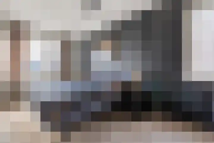 Karmijn 70 Winssen thumbnail 15