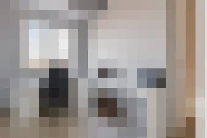 Karmijn 70 Winssen thumbnail 20