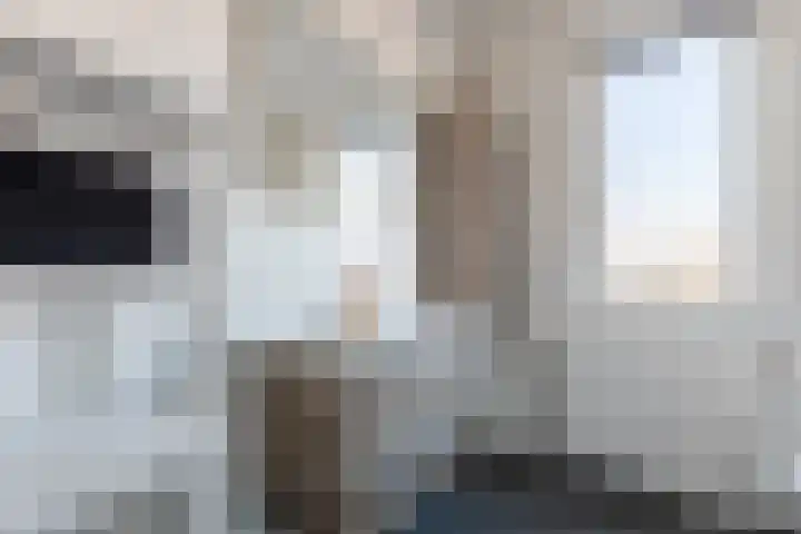 Karmijn 70 Winssen thumbnail 21