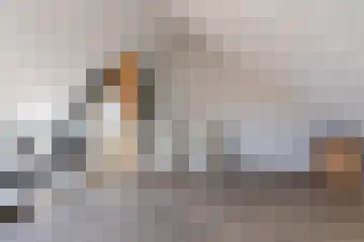 Karmijn 70 Winssen thumbnail 26