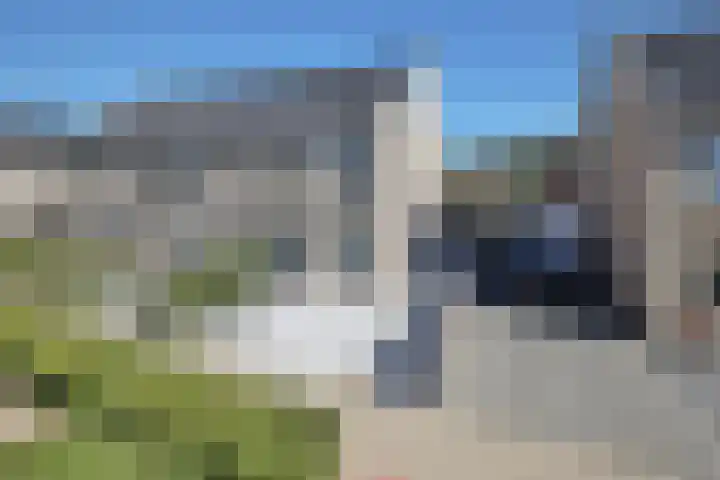 Karmijn 70 Winssen thumbnail 29