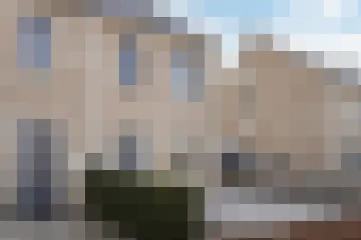 Karmijn 70 Winssen thumbnail 30