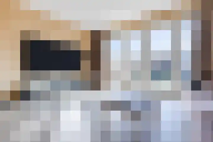 Karmijn 70 Winssen thumbnail 8
