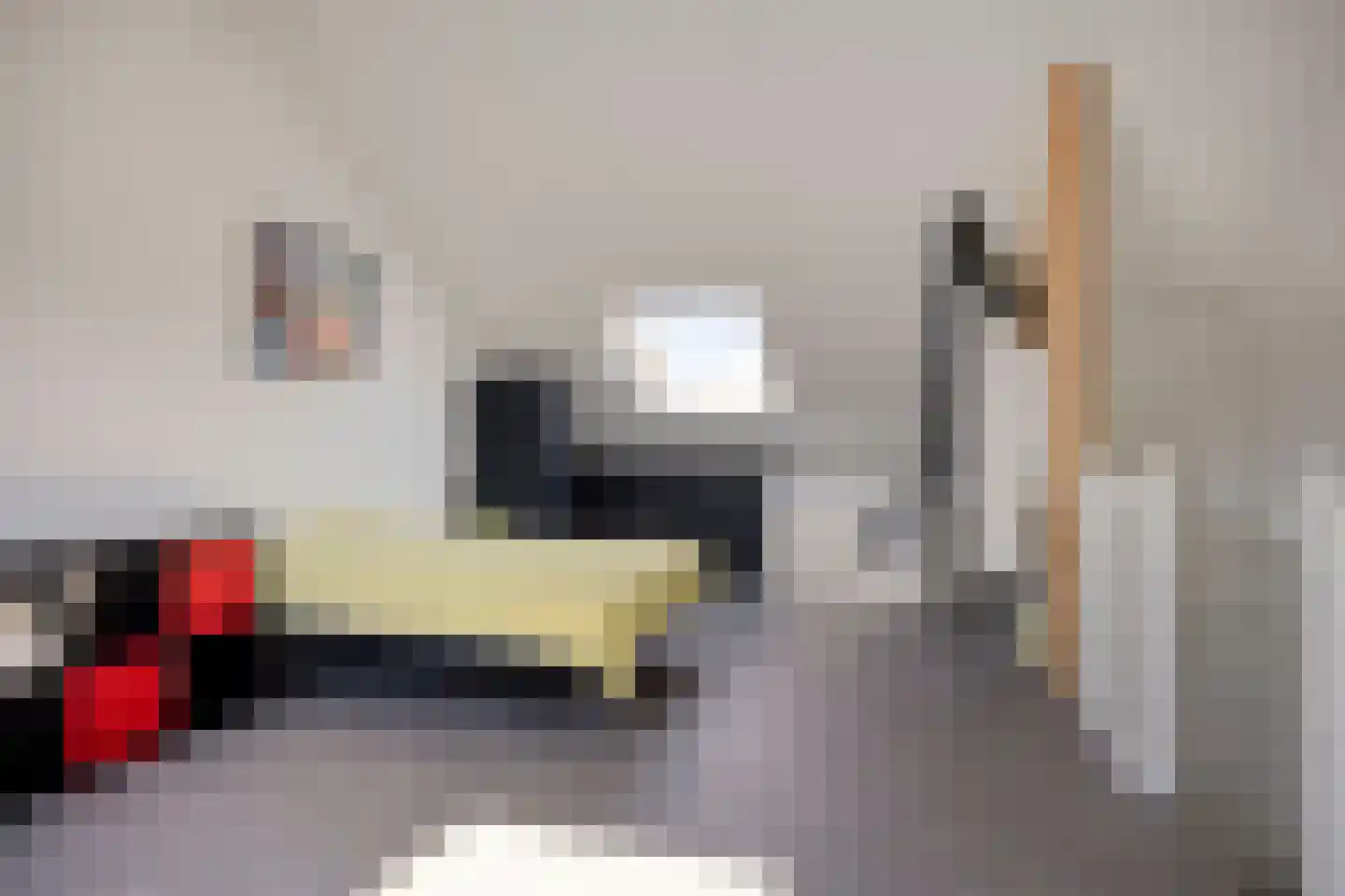 Karmijn 74 Winssen thumbnail 24