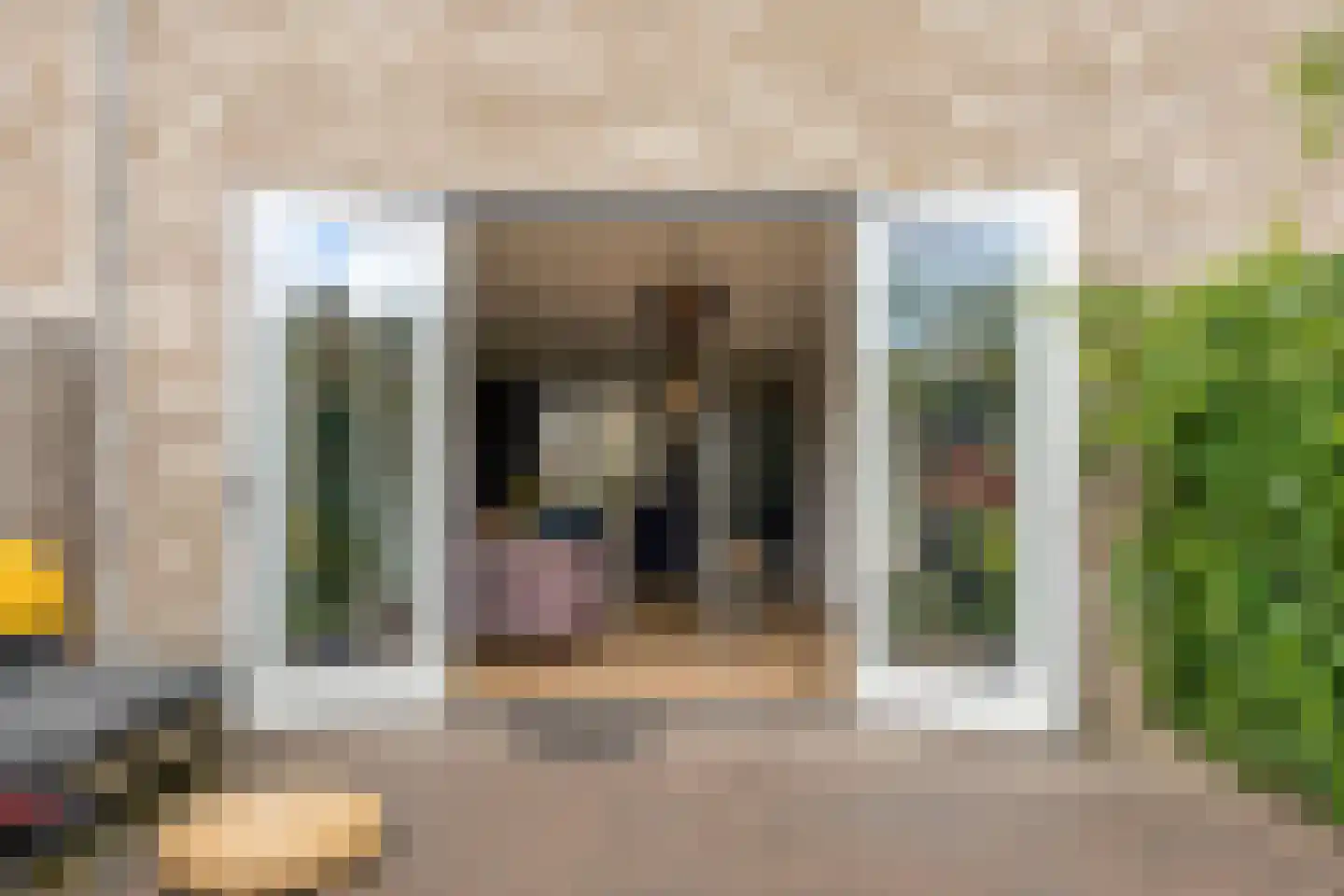 Karmijn 74 Winssen thumbnail 27