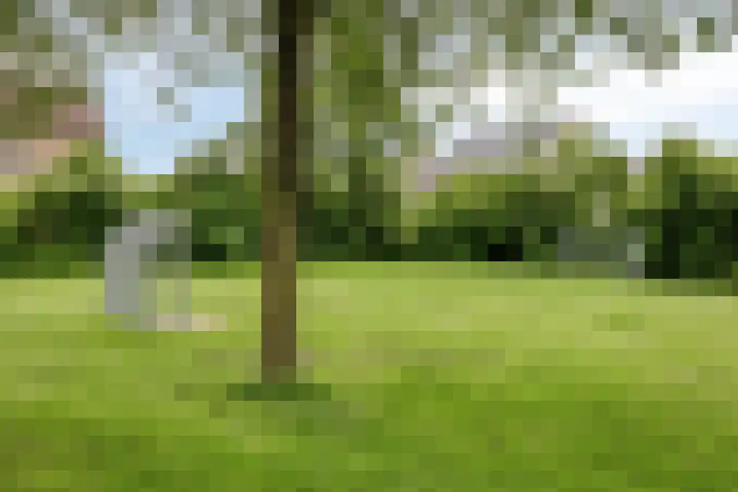 Karmijn 74 Winssen thumbnail 36