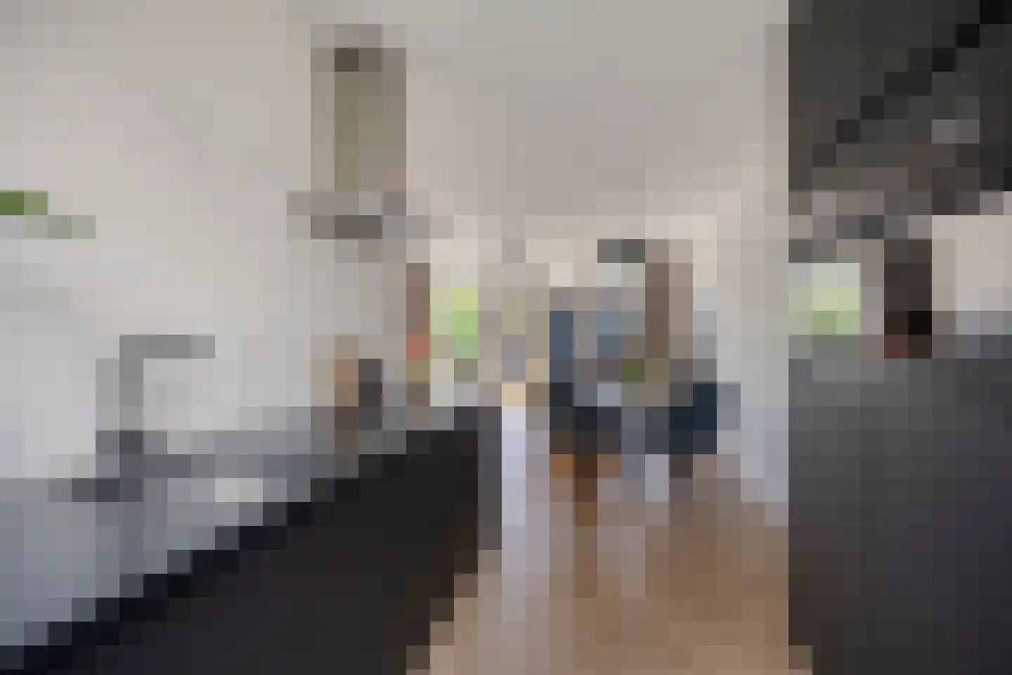 Karmijn 74 Winssen thumbnail 9