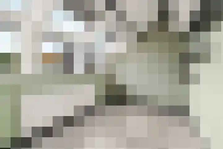 Karmijnstraat 16 Almere thumbnail 39