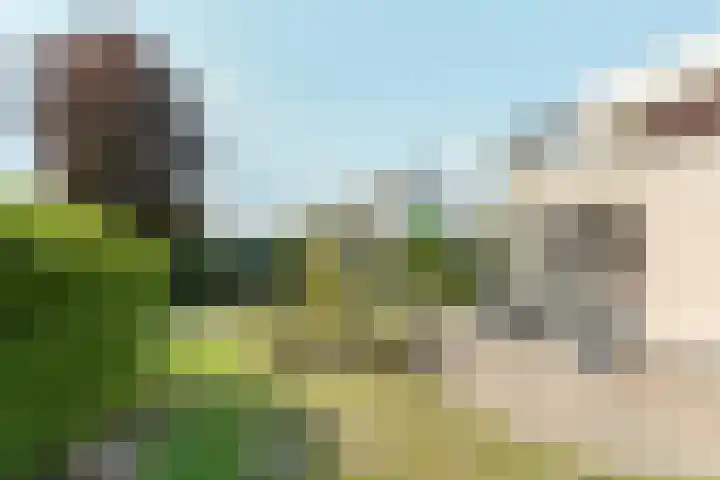 Karmijnstraat 16 Almere thumbnail 69