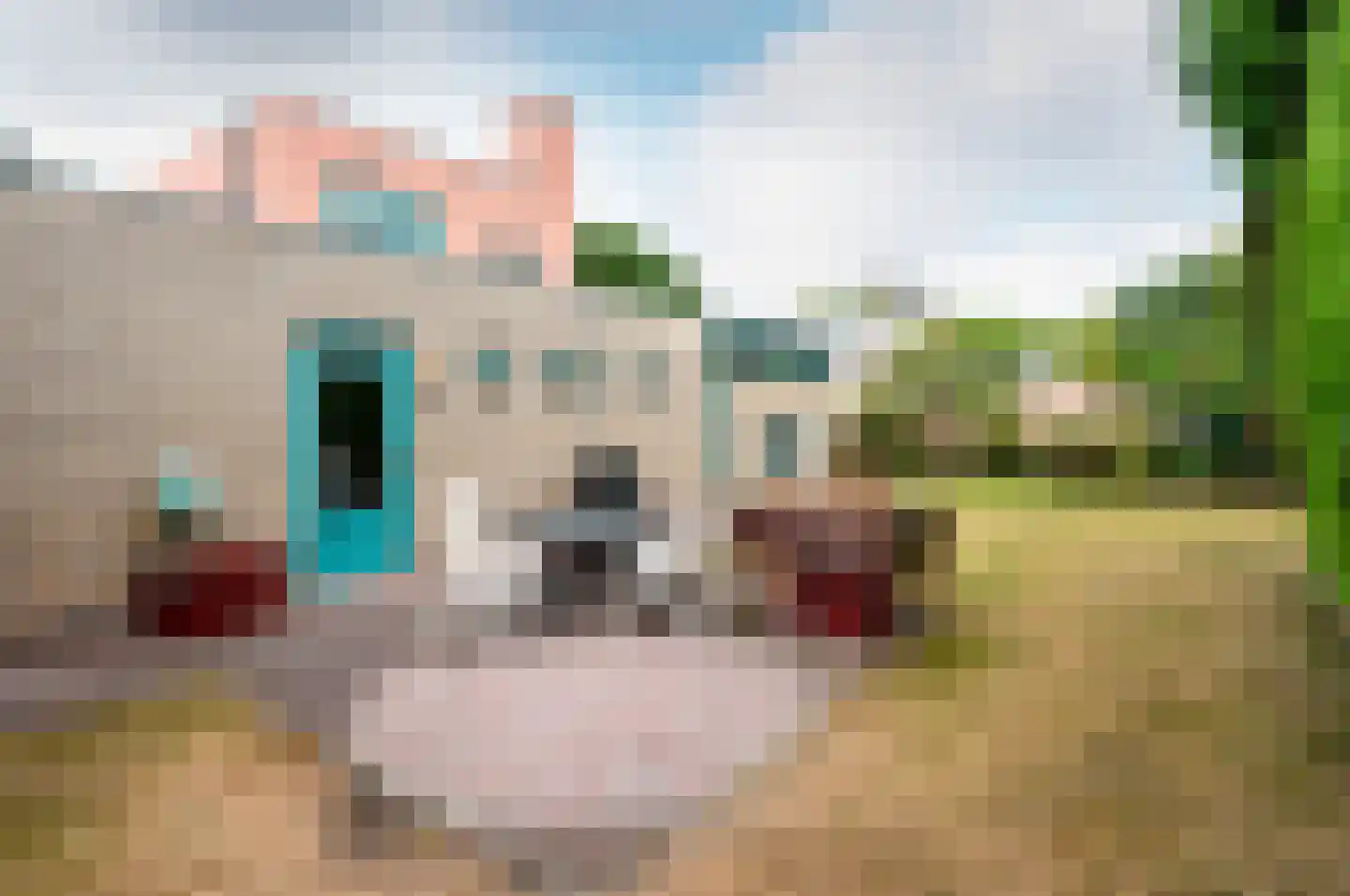 Karmijnstraat 5 Almere thumbnail 21