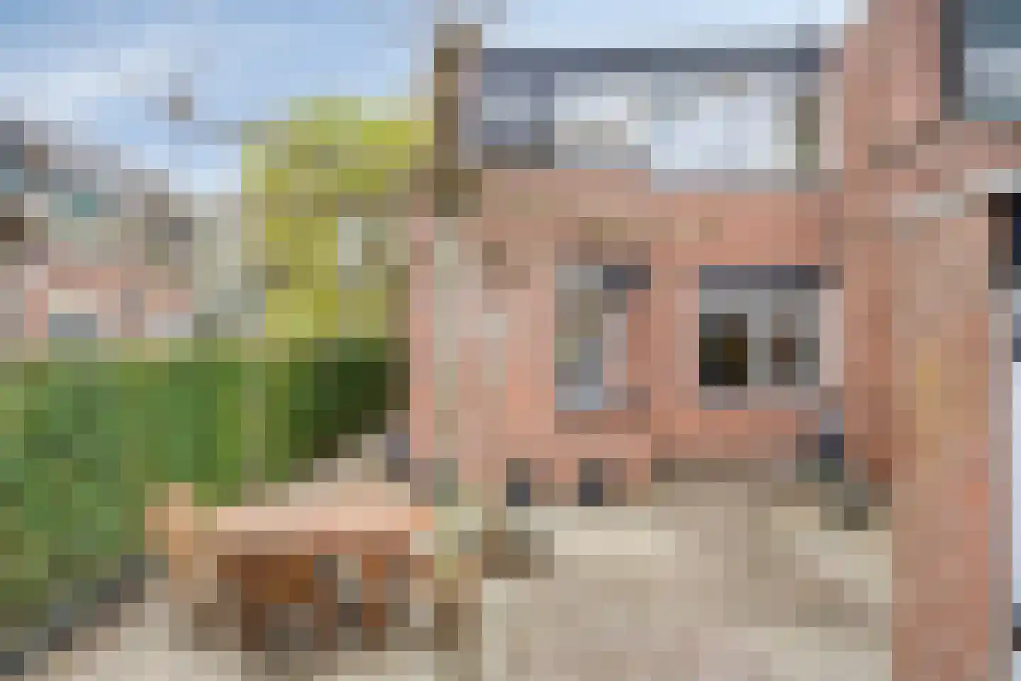 Karmozijnbes 18 Rotterdam thumbnail 10