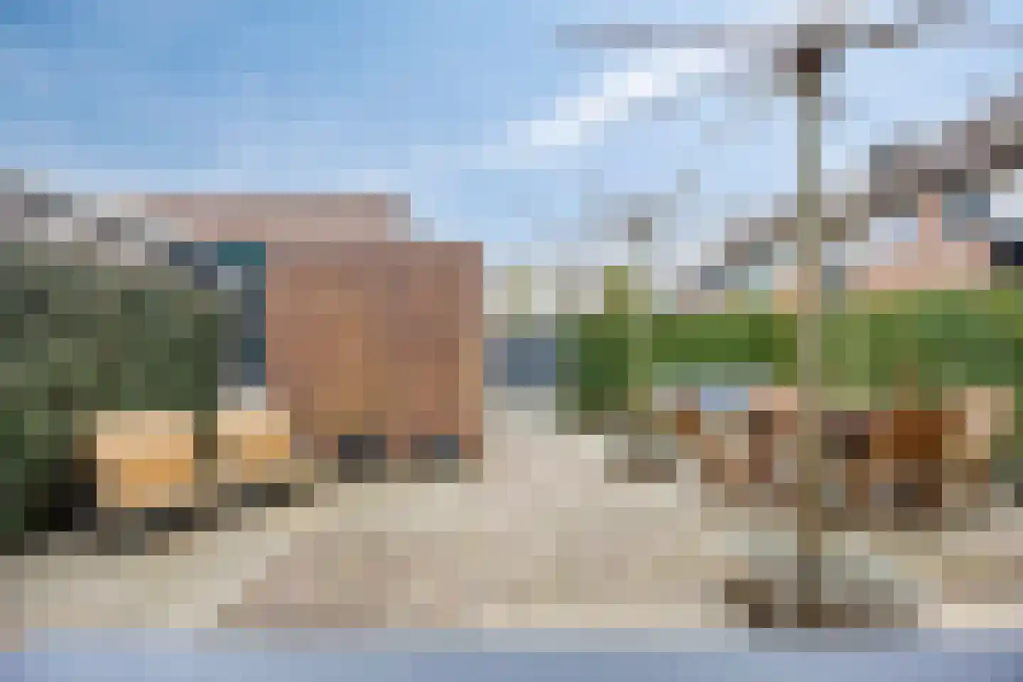 Karmozijnbes 18 Rotterdam thumbnail 11