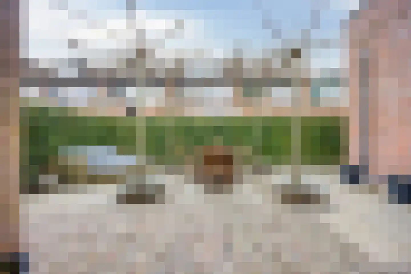Karmozijnbes 18 Rotterdam thumbnail 12