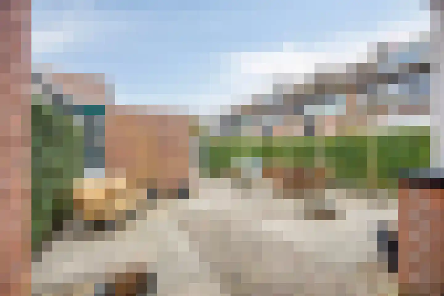 Karmozijnbes 18 Rotterdam thumbnail 13