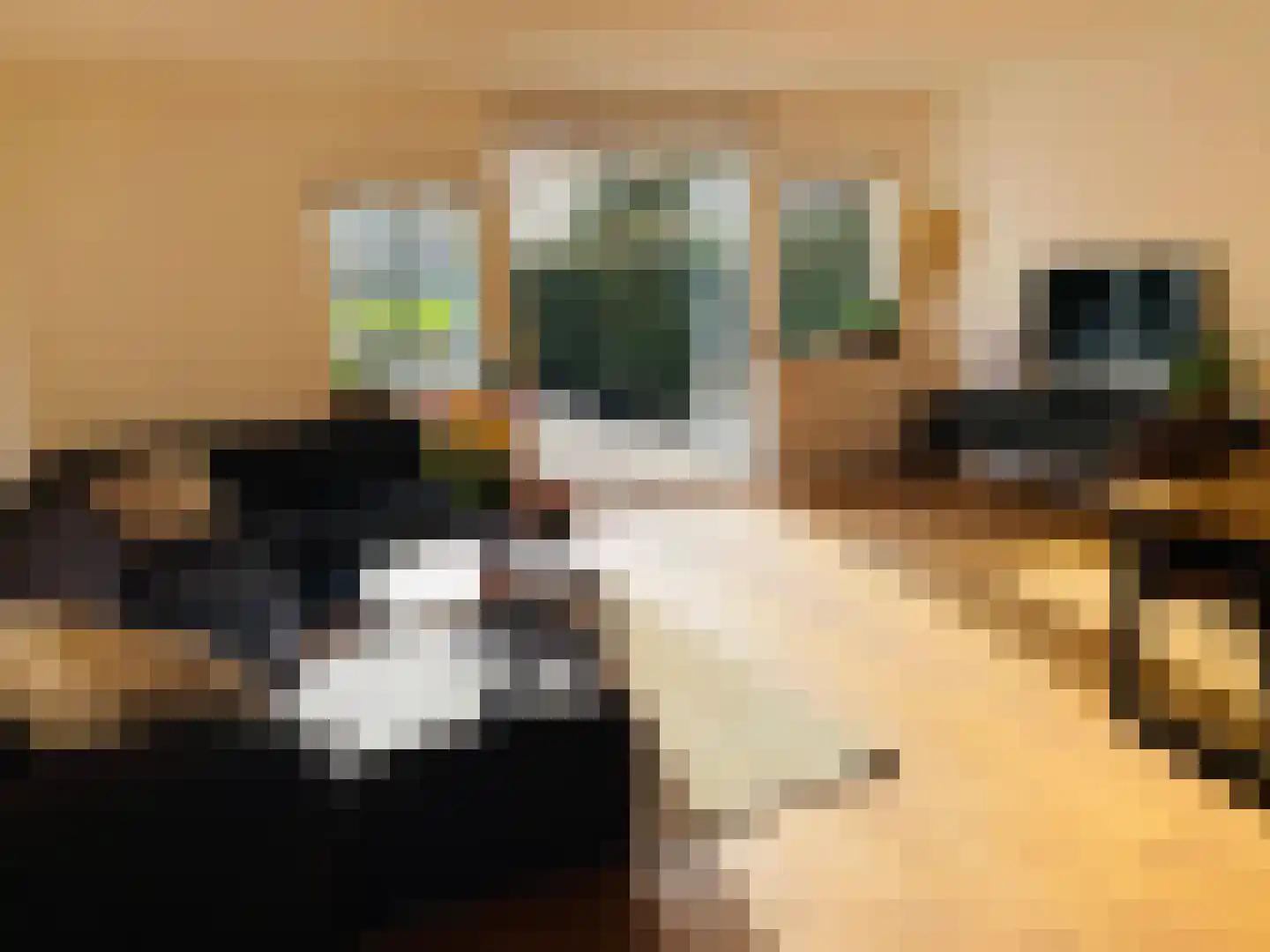 Karmozijnbes 18 Rotterdam thumbnail 19