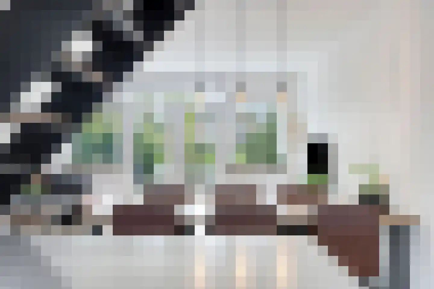 Karmozijnbes 18 Rotterdam thumbnail 25