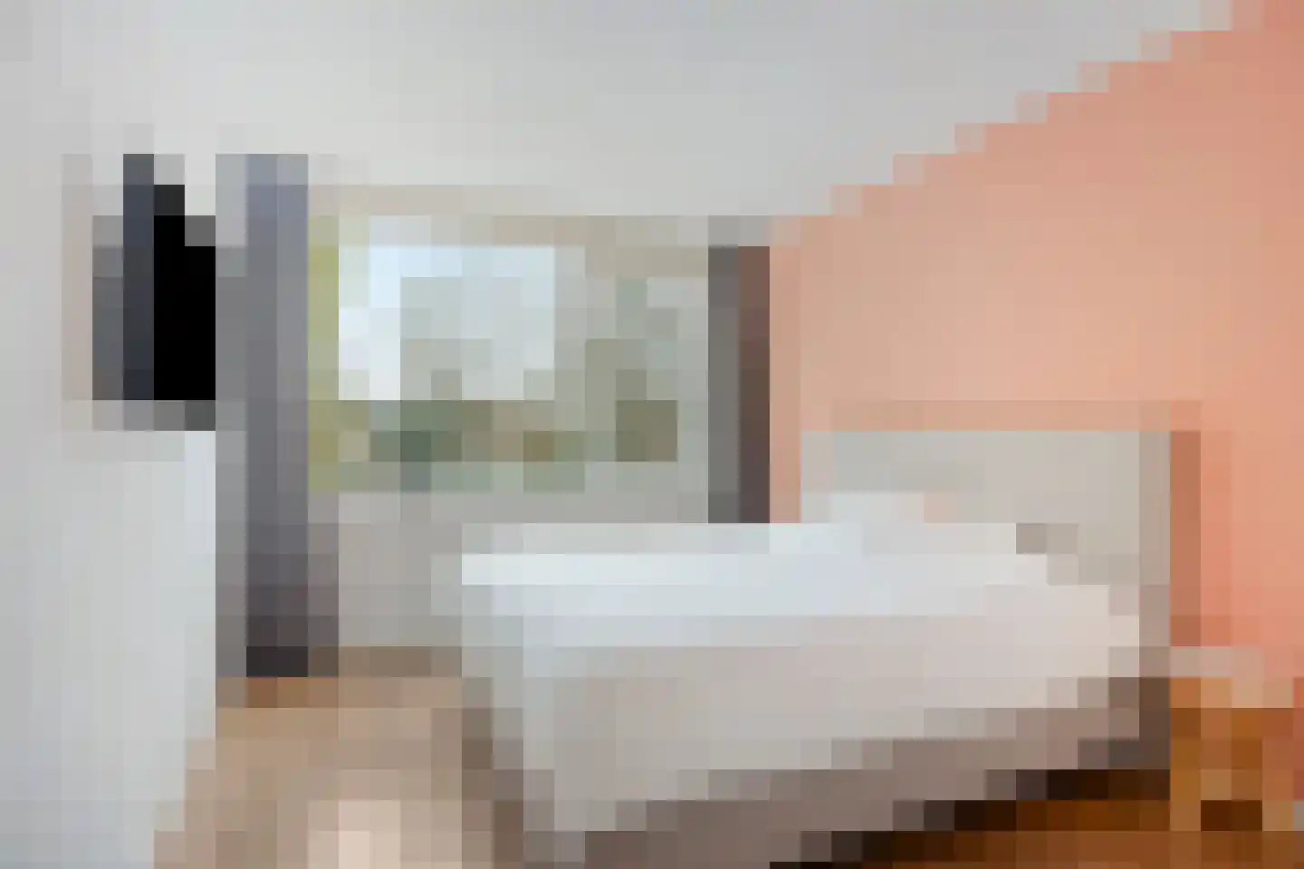 Karmozijnbes 18 Rotterdam thumbnail 30