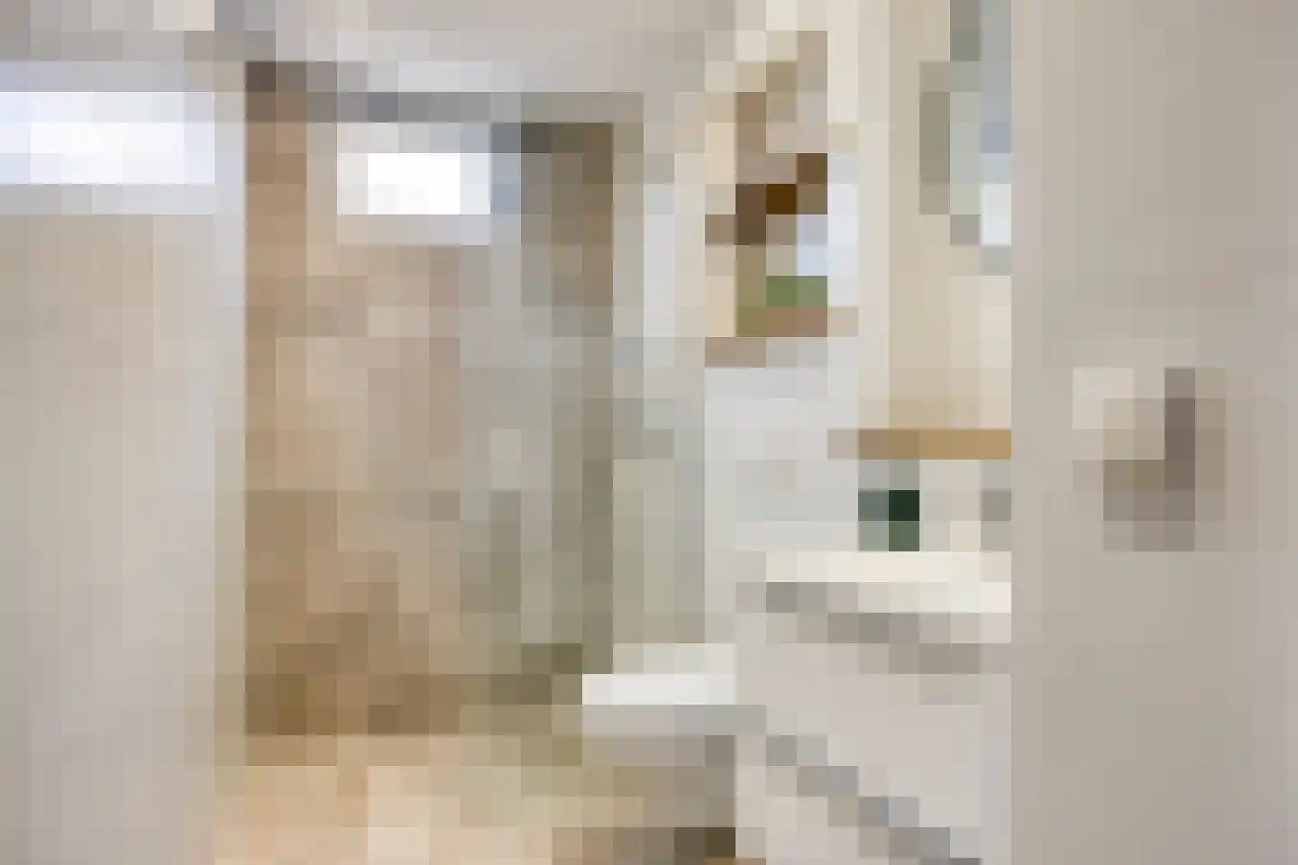 Karmozijnbes 18 Rotterdam thumbnail 32