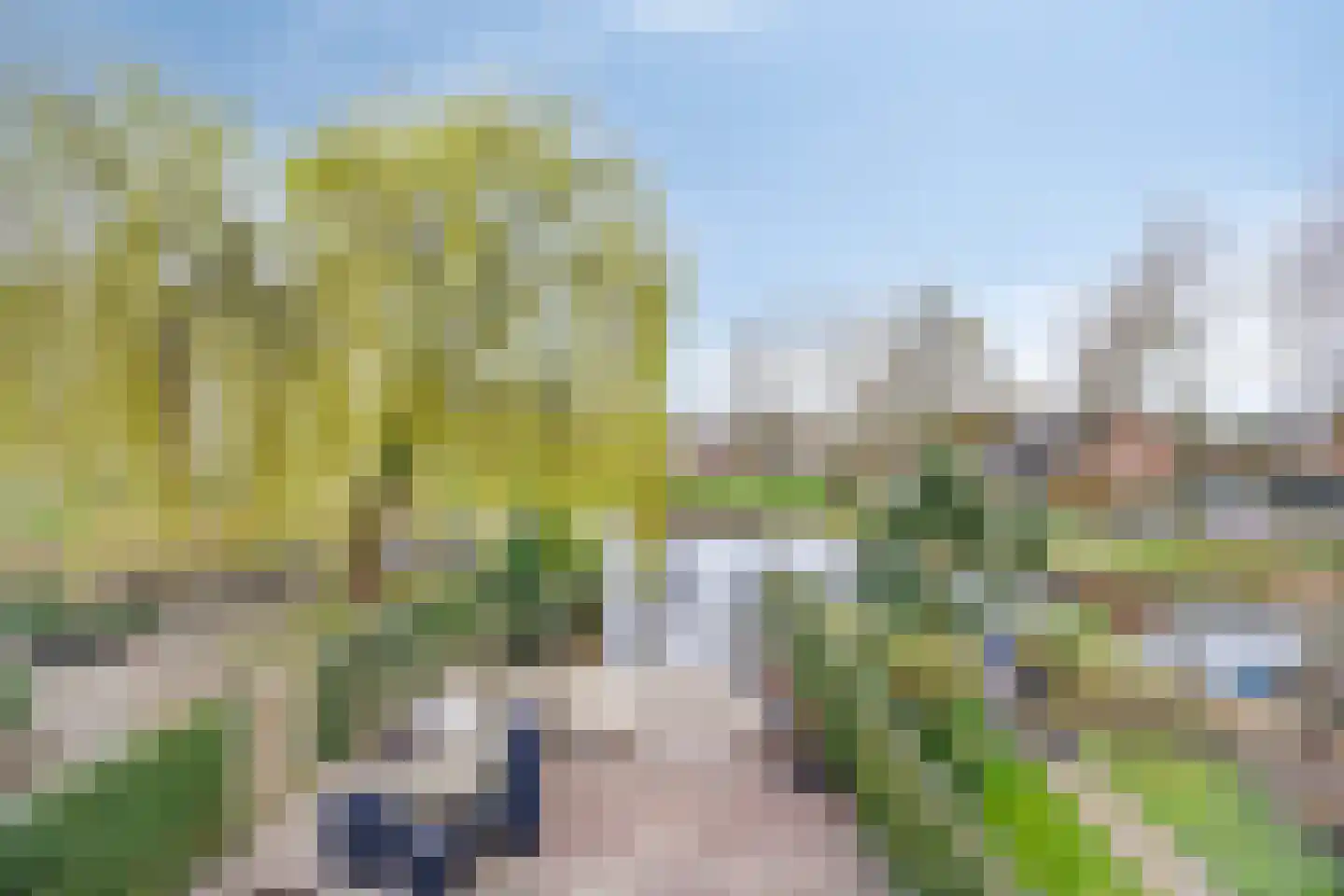 Karmozijnbes 18 Rotterdam thumbnail 33