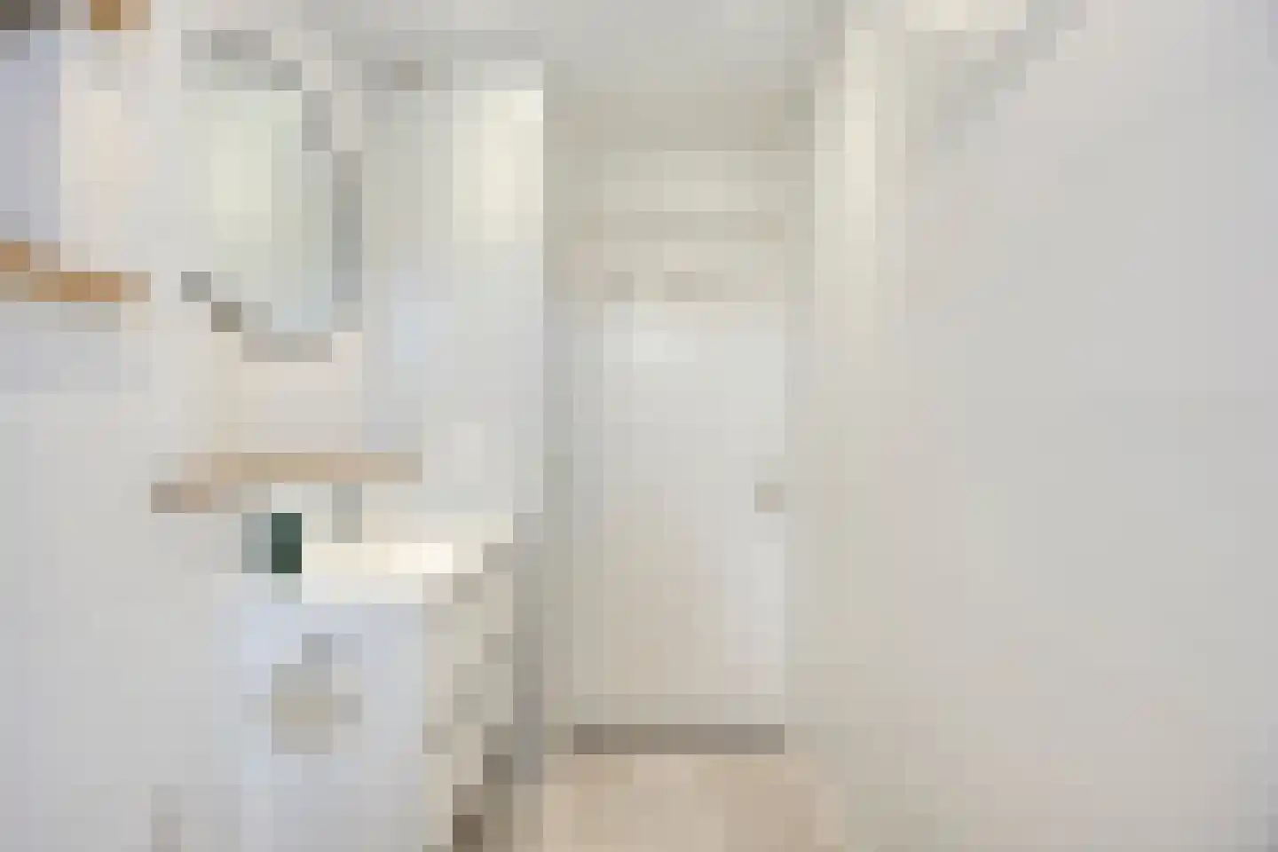 Karmozijnbes 18 Rotterdam thumbnail 34