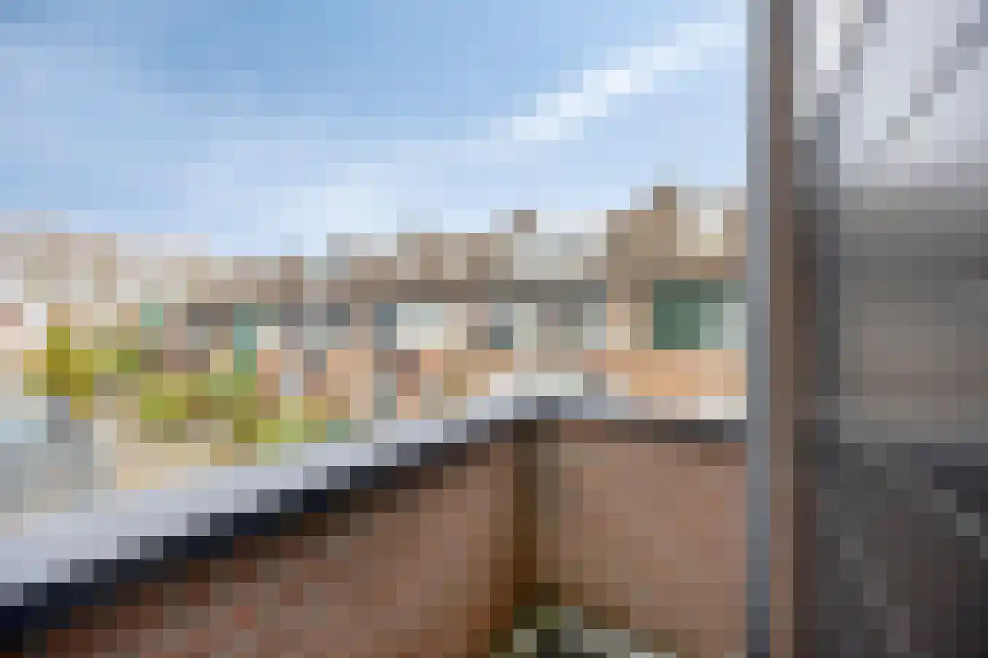 Karmozijnbes 18 Rotterdam thumbnail 41