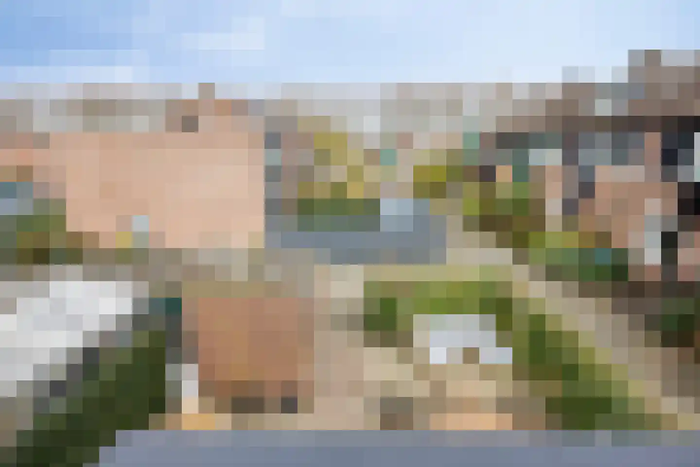 Karmozijnbes 18 Rotterdam thumbnail 42