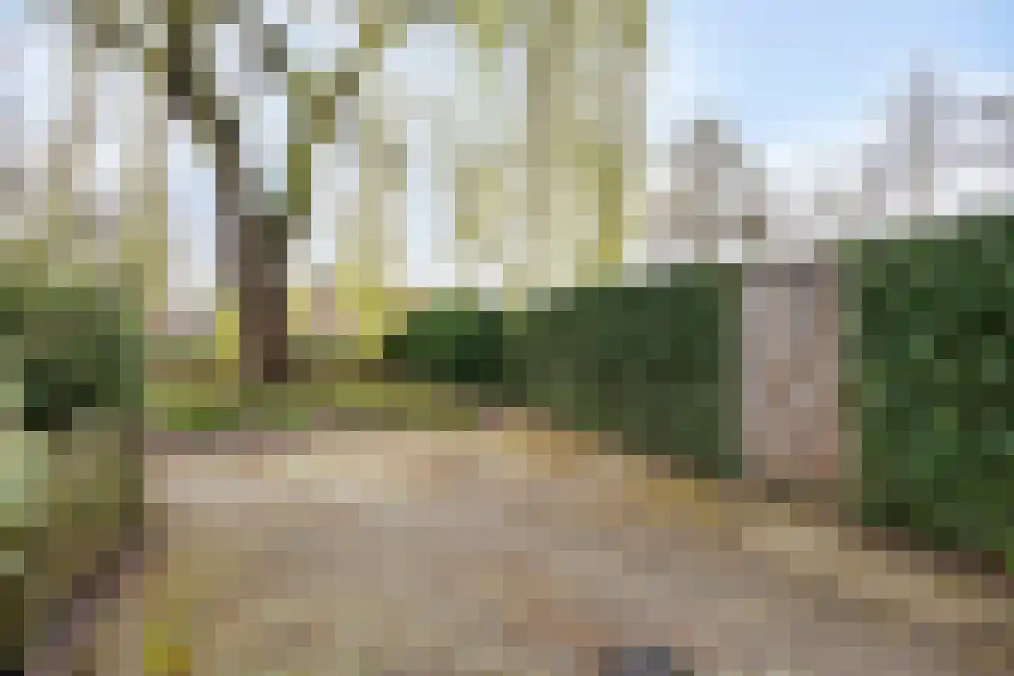 Karmozijnbes 18 Rotterdam thumbnail 43