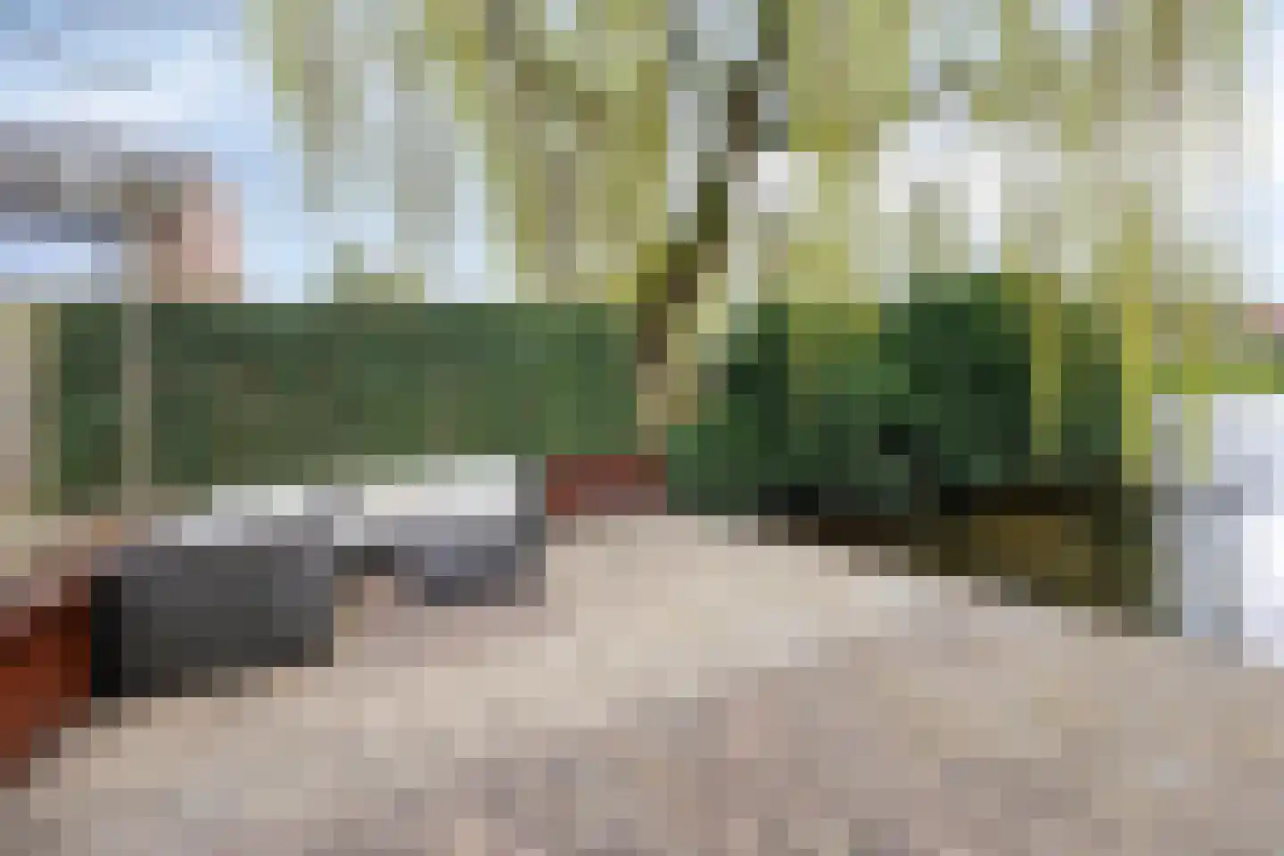 Karmozijnbes 18 Rotterdam thumbnail 45