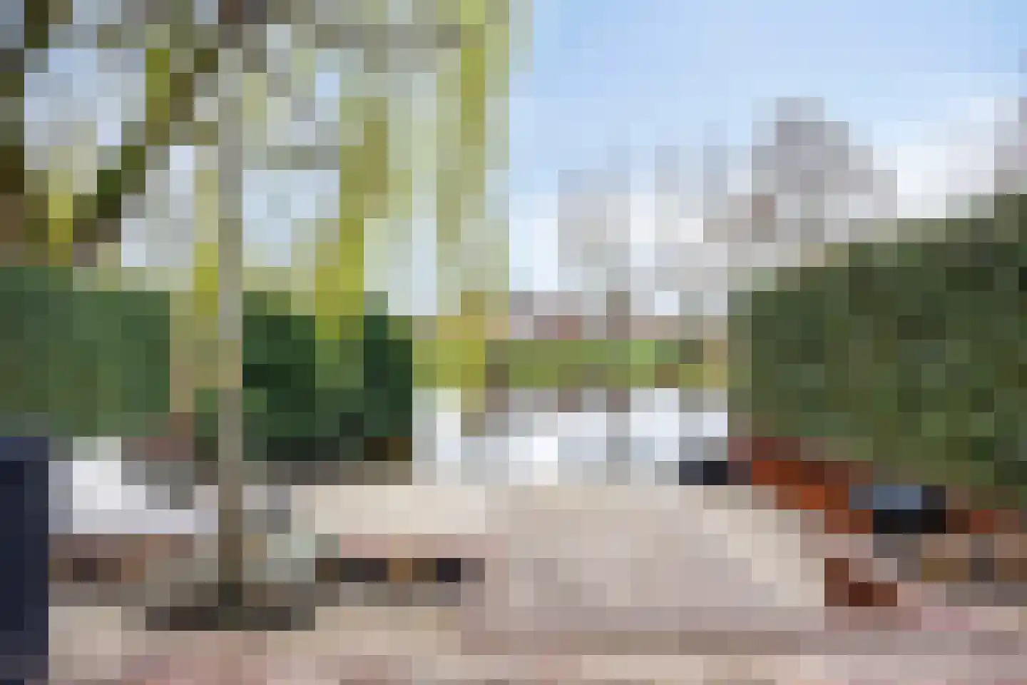 Karmozijnbes 18 Rotterdam thumbnail 46