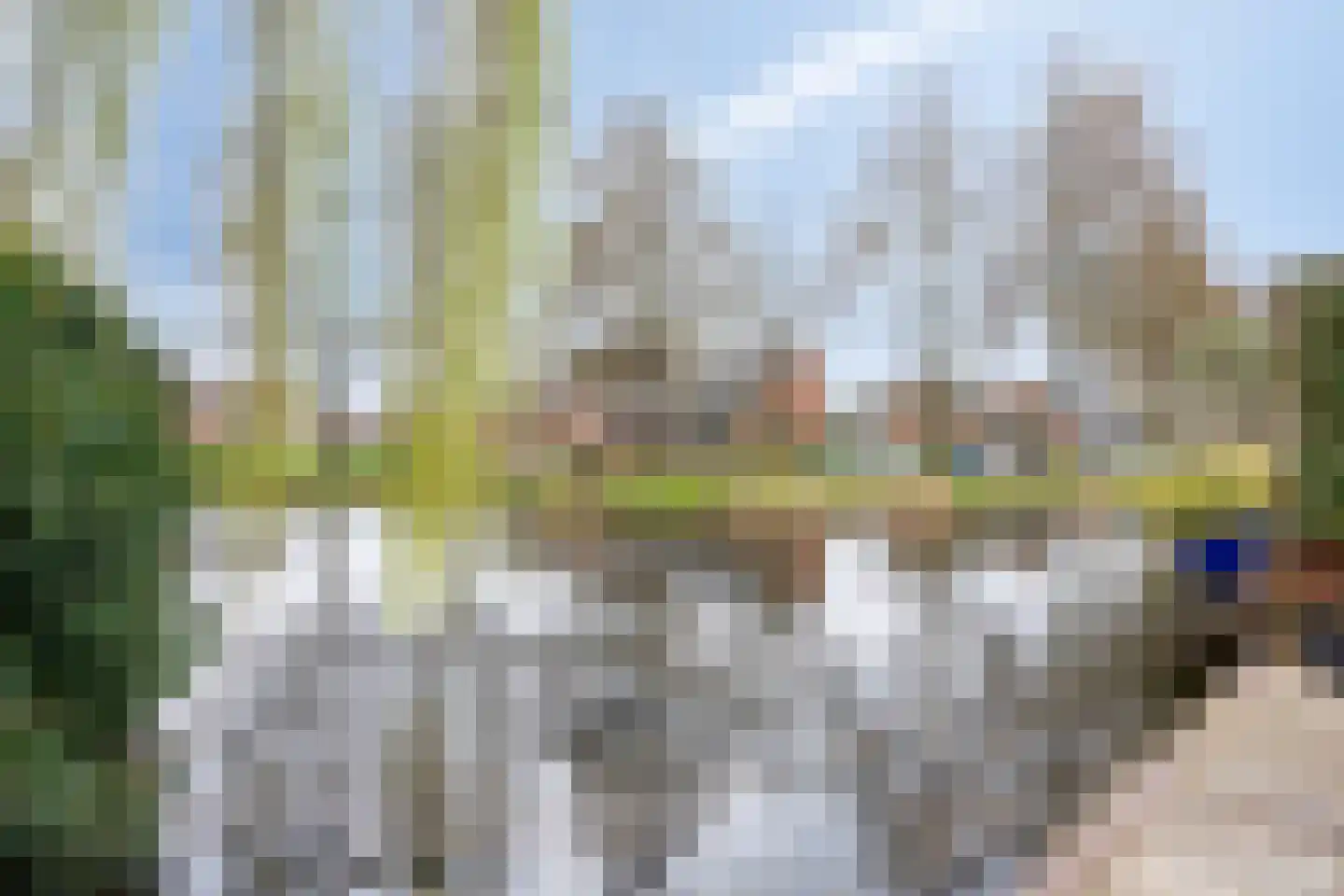 Karmozijnbes 18 Rotterdam thumbnail 47