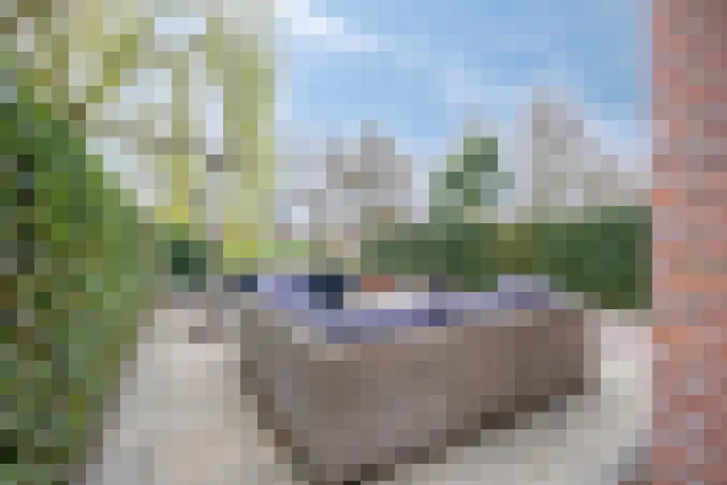 Karmozijnbes 18 Rotterdam thumbnail 49