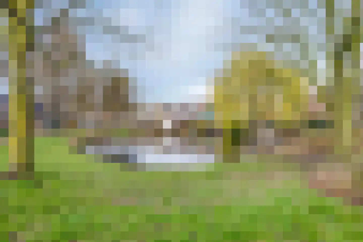 Karmozijnbes 18 Rotterdam thumbnail 5
