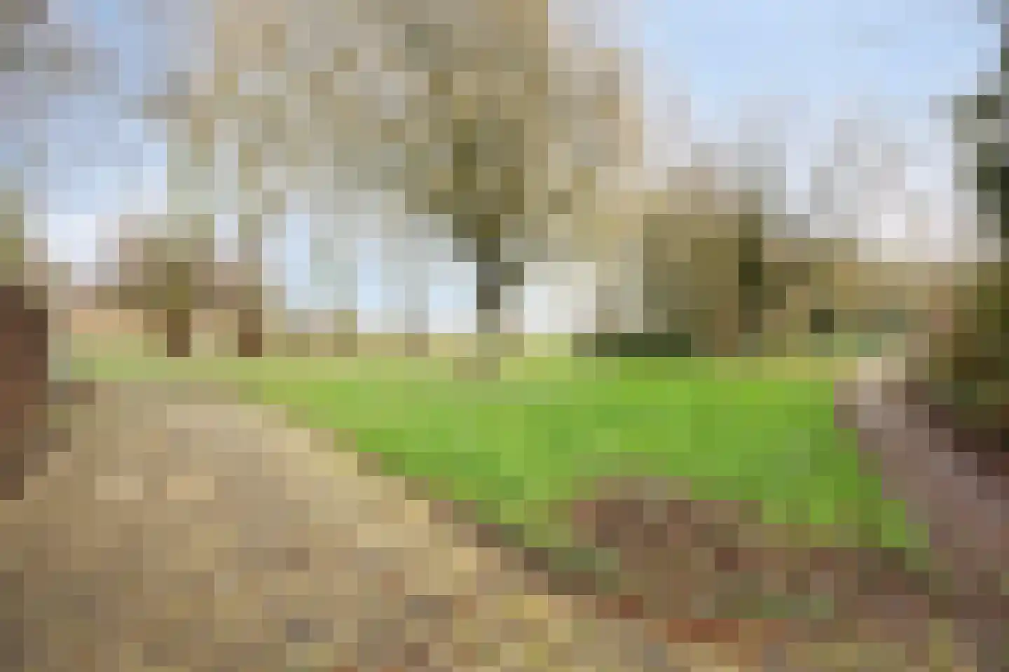 Karmozijnbes 18 Rotterdam thumbnail 51