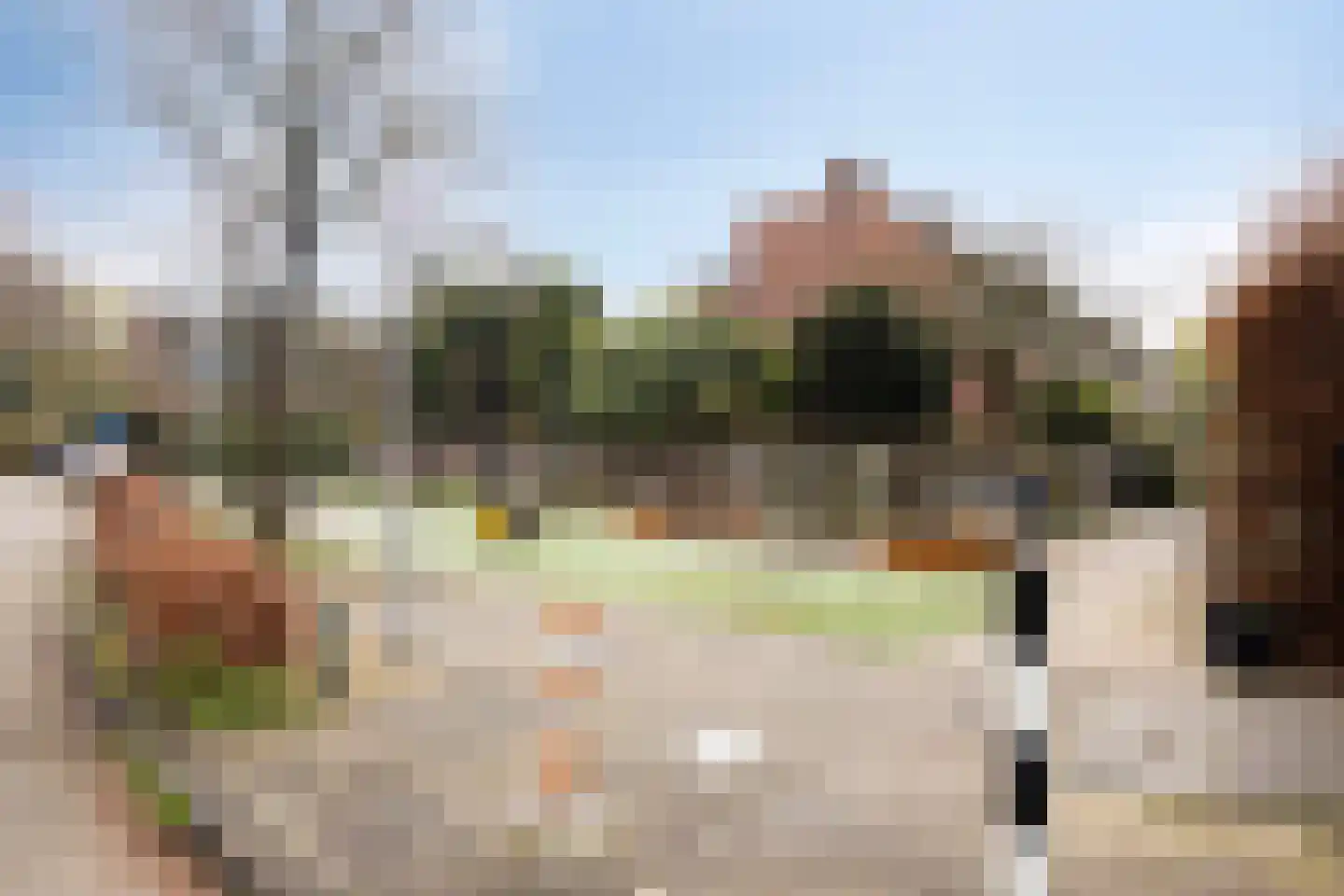 Karmozijnbes 18 Rotterdam thumbnail 52