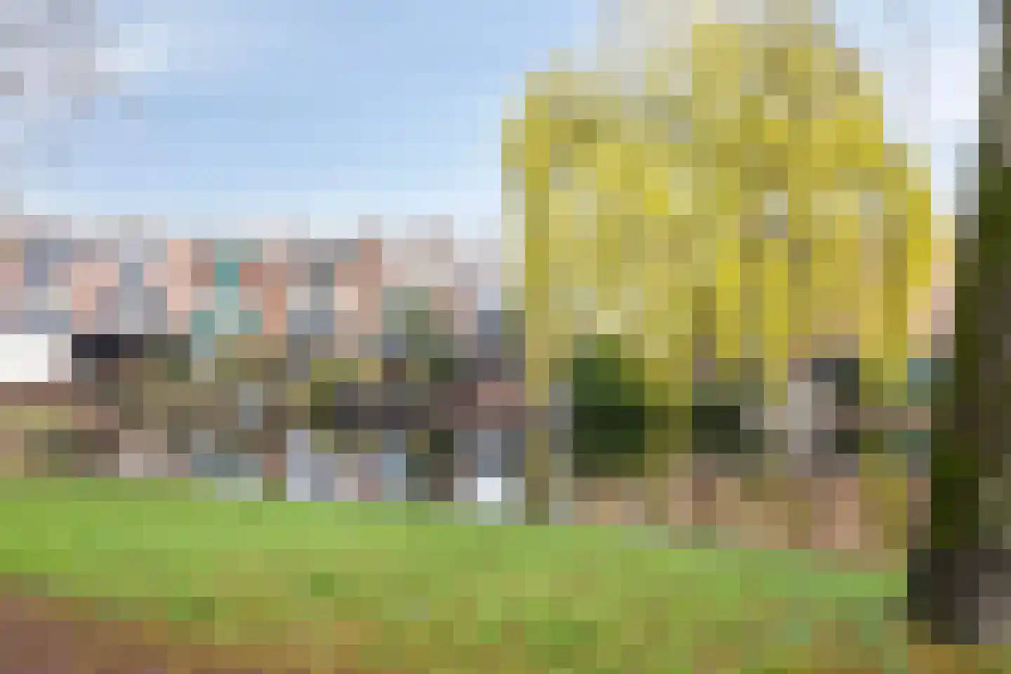 Karmozijnbes 18 Rotterdam thumbnail 6