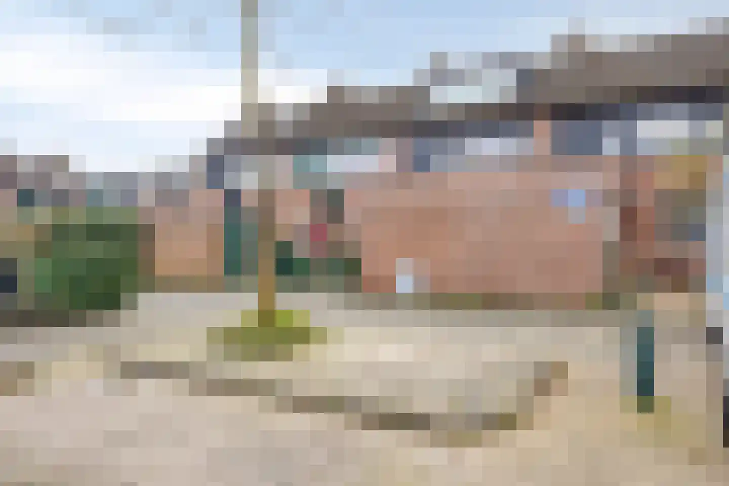 Karmozijnbes 18 Rotterdam thumbnail 7