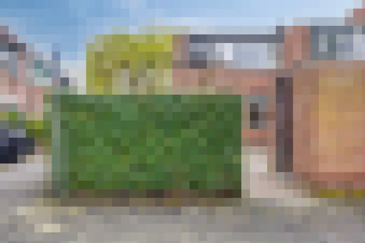 Karmozijnbes 18 Rotterdam thumbnail 9