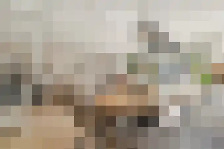Karmozijnbes 6 Rotterdam thumbnail 11