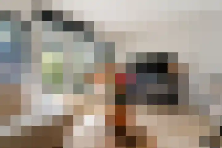 Karmozijnbes 6 Rotterdam thumbnail 12