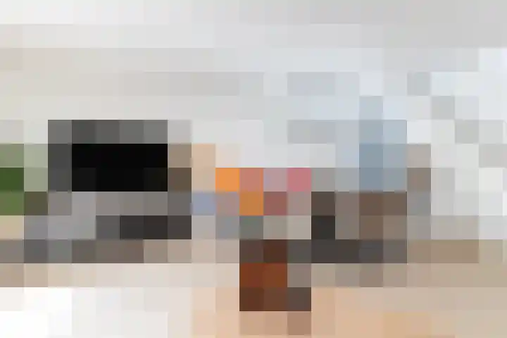 Karmozijnbes 6 Rotterdam thumbnail 13