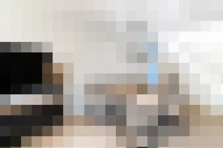 Karmozijnbes 6 Rotterdam thumbnail 14