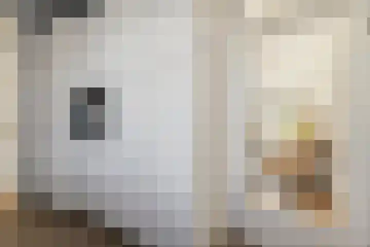 Karmozijnbes 6 Rotterdam thumbnail 16