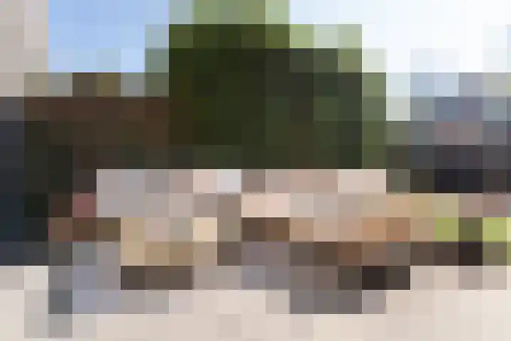 Karmozijnbes 6 Rotterdam thumbnail 17