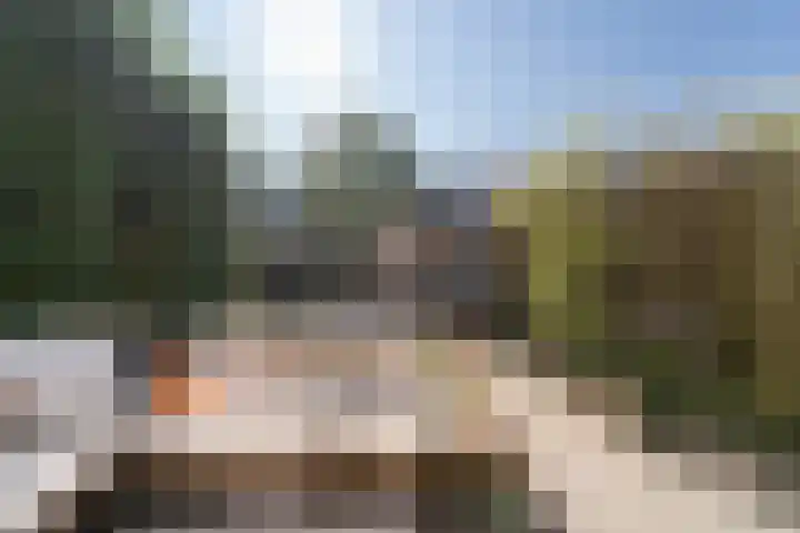 Karmozijnbes 6 Rotterdam thumbnail 18