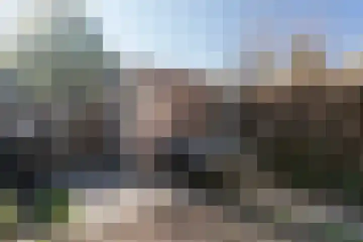 Karmozijnbes 6 Rotterdam thumbnail 22