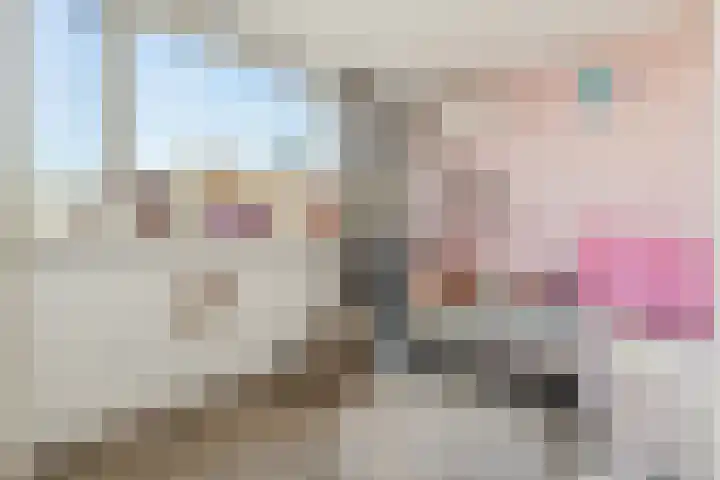 Karmozijnbes 6 Rotterdam thumbnail 27