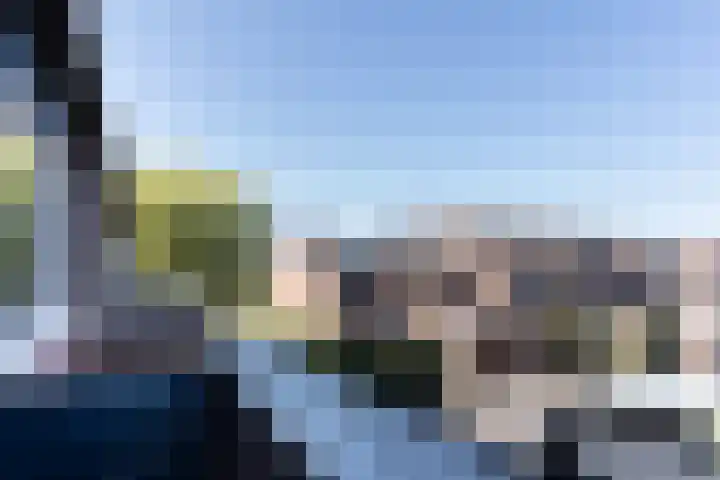 Karmozijnbes 6 Rotterdam thumbnail 30